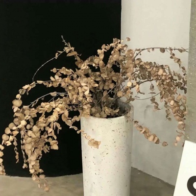 兽设暗黑风格设计Furry群